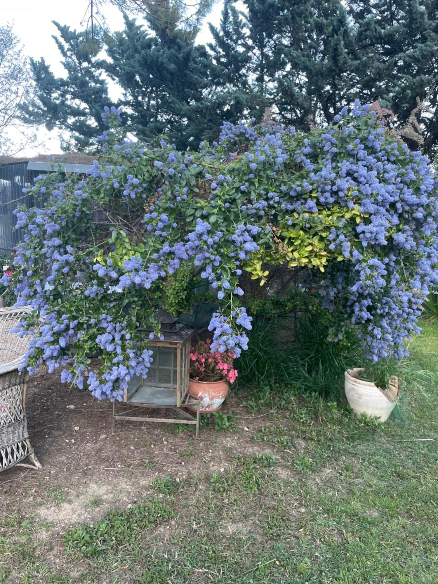 Gites Le Pimayon Manosque Exterior photo